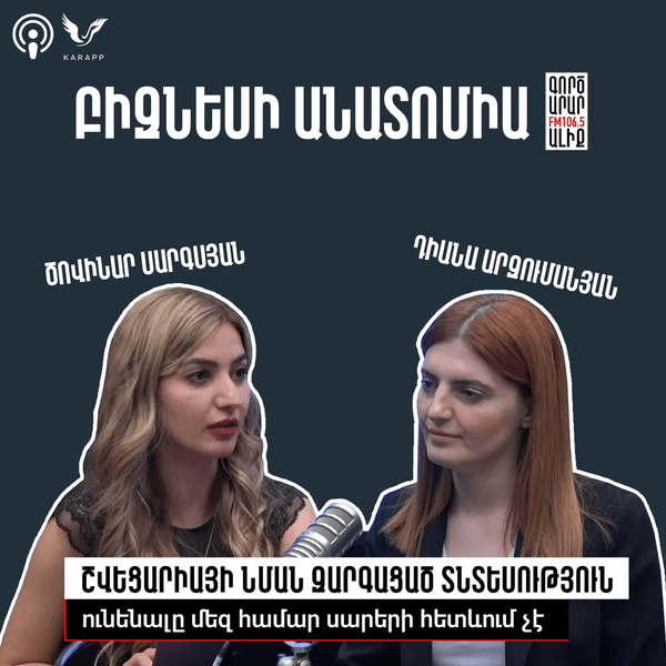 Բիզնեսի անատոմիա Դիանա Արզումանյանի  հետ