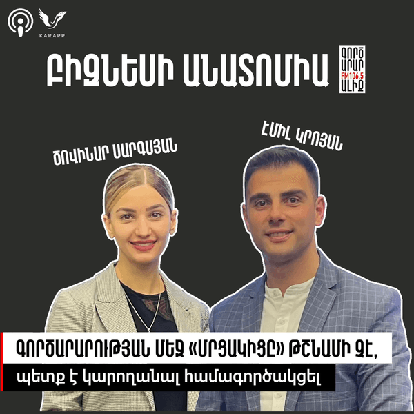 Բիզնեսի անատոմիա Էմիլ Կրոյանի հետ