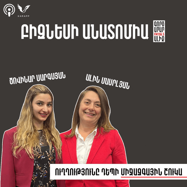 Բիզնեսի անատոմիա Ալին Մասրլյանի  հետ